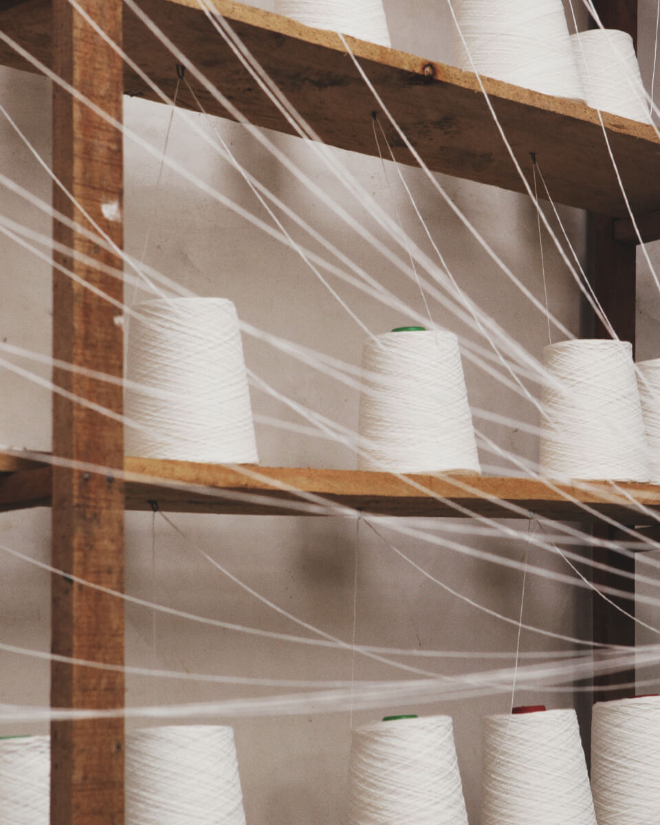 Planet and People-Focused: Prioritizing Sustainability and Well-being