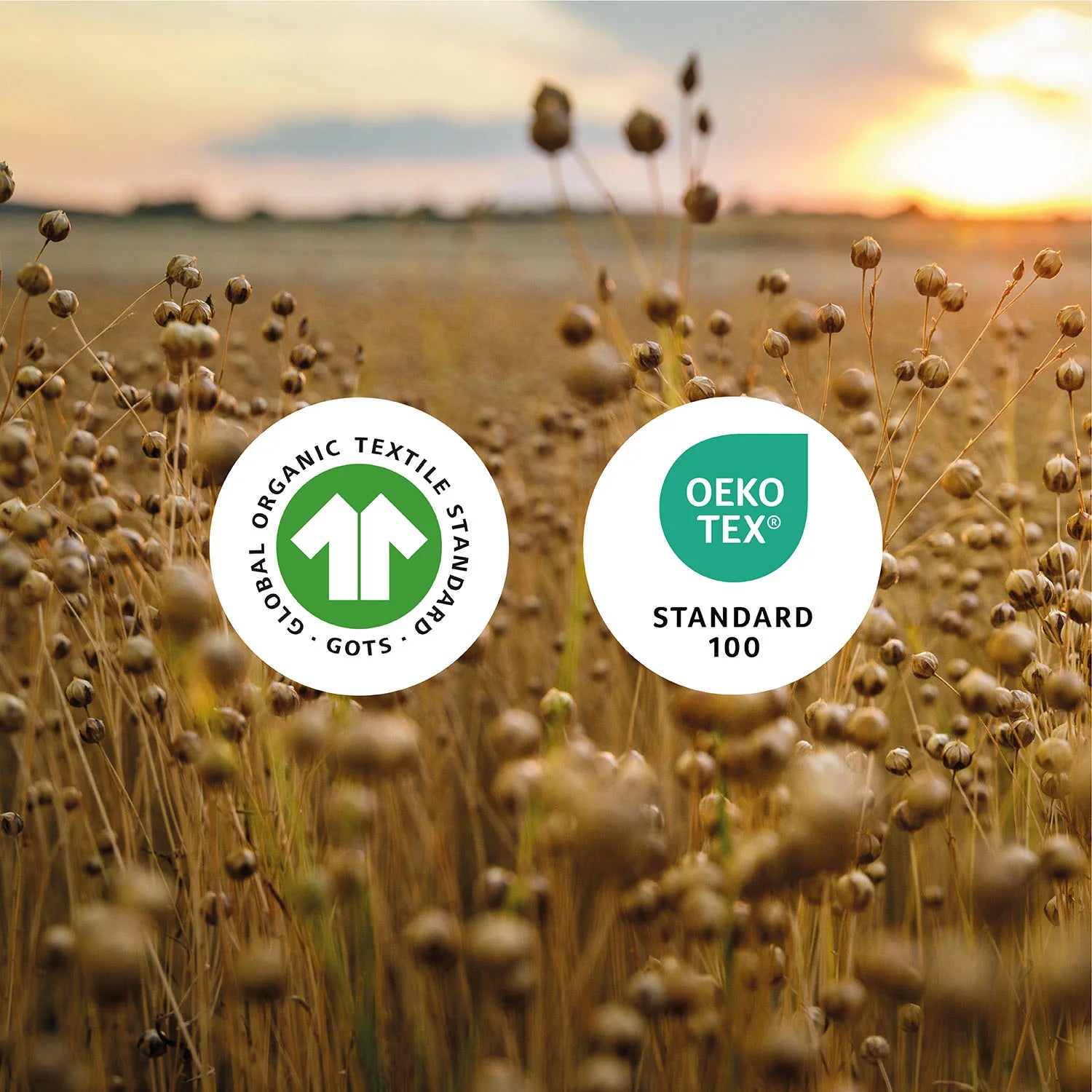 linen_certifications.webp